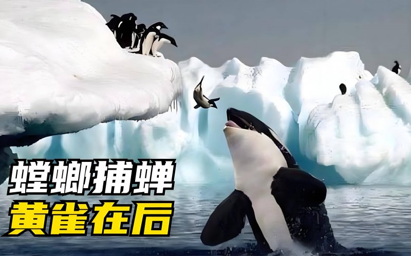 休闲